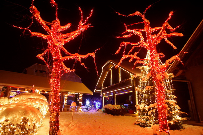 Cazma, 161209.
Grabovnica pokraj Cazme – Bozicna prica obitelji Salaj.
Zlatko Salaj ukrasio je i ove godine cijelo imanje s oko 1 milijun lampica. 
Za posjetitelje ce imanje biti otvoreno od subote 19.12. – 06. sijecnja od 17 h -21h.
Foto: Goran Mehkek /