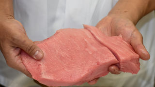 Tuna, sushi and wine radionica Tuna, sushi and wine radionica