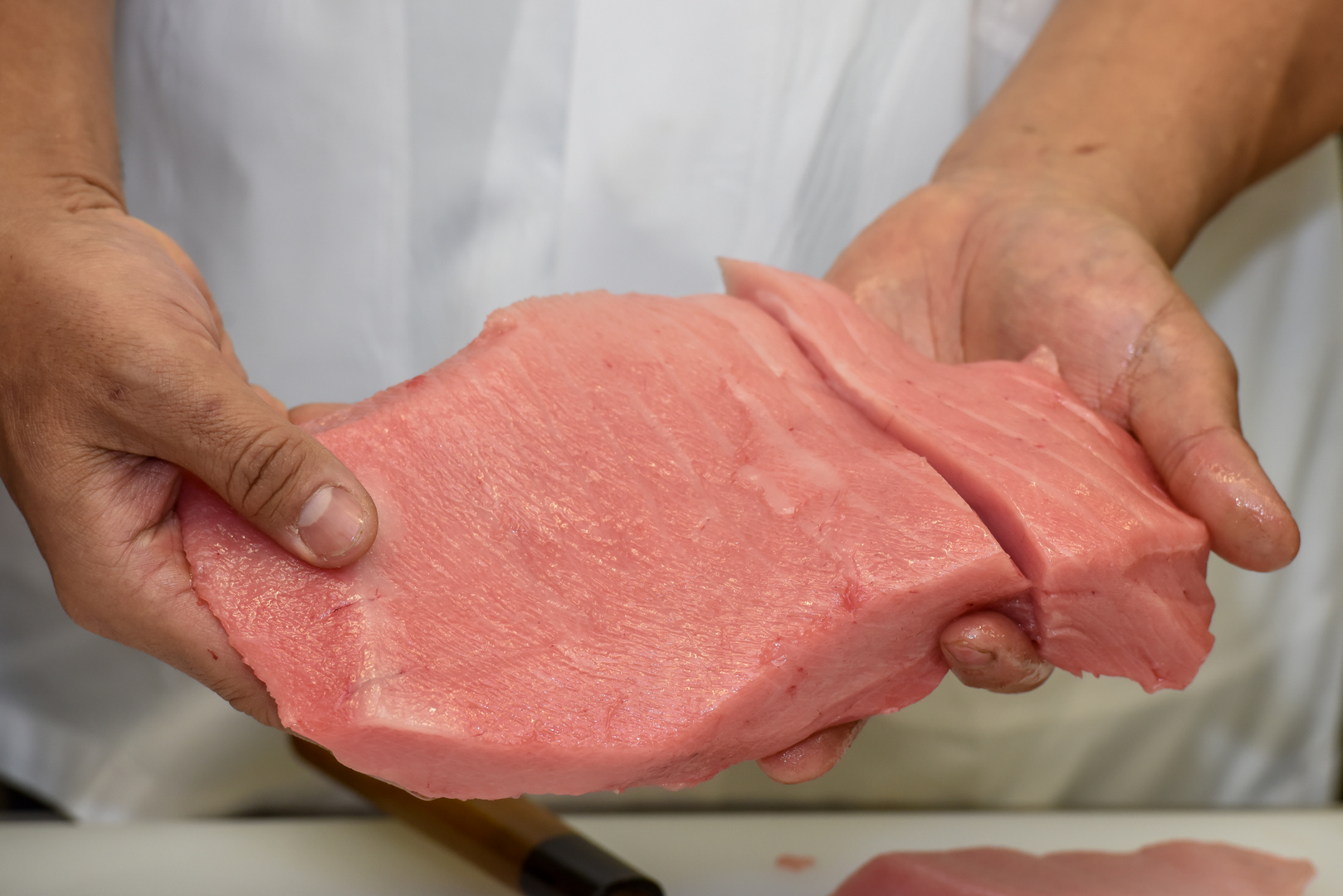 Tuna, sushi and wine radionica Tuna, sushi and wine radionica