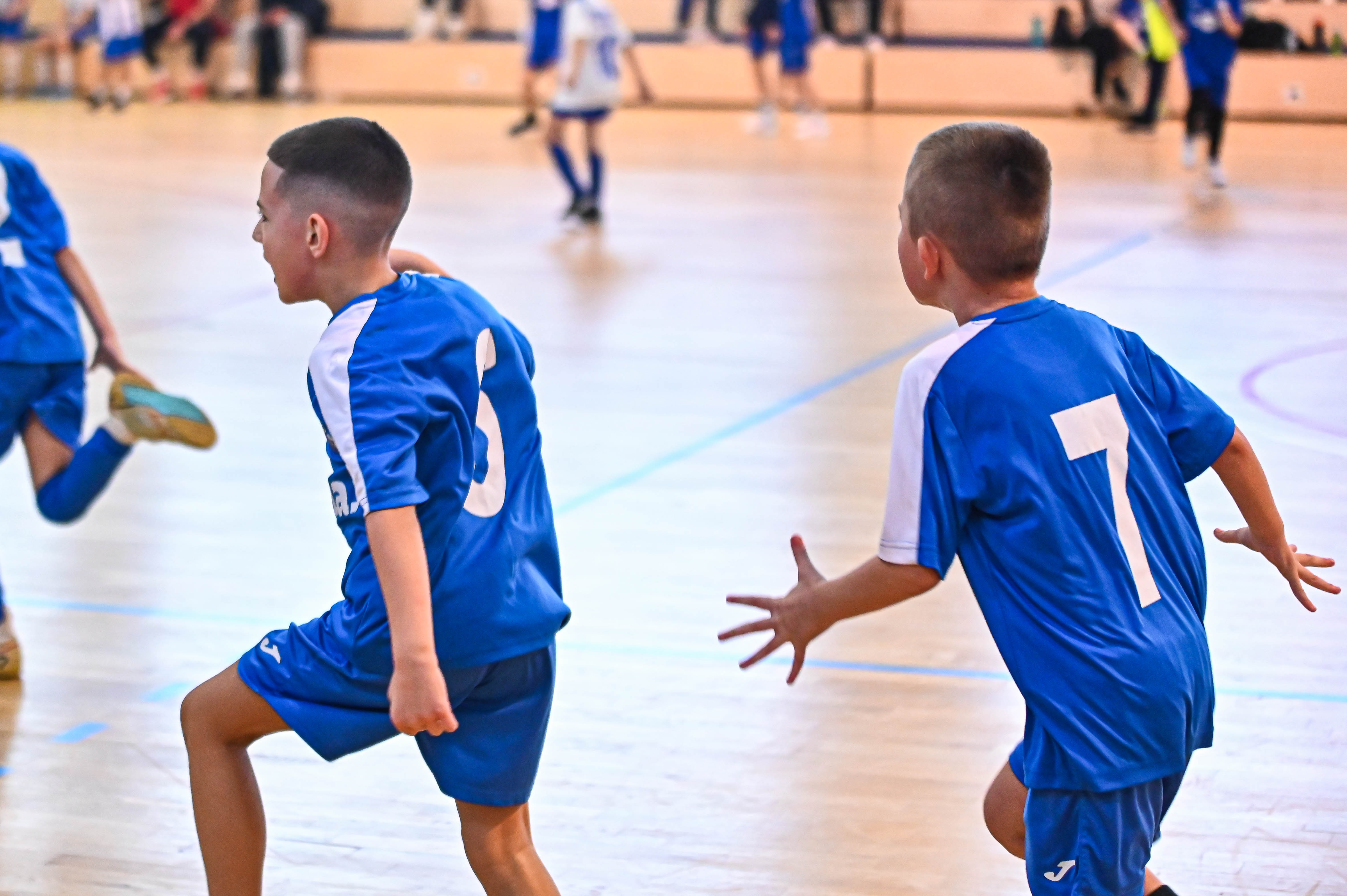 1.Cateleya indoor Cup 1.Cateleya indoor Cup