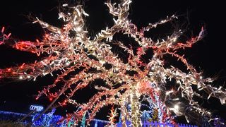Uz 2,5 milijuna lampica zasjala ovogodišnja božićna bajka u Salajlandu Uz 2,5 milijuna lampica zasjala ovogodišnja božićna bajka u Salajlandu
