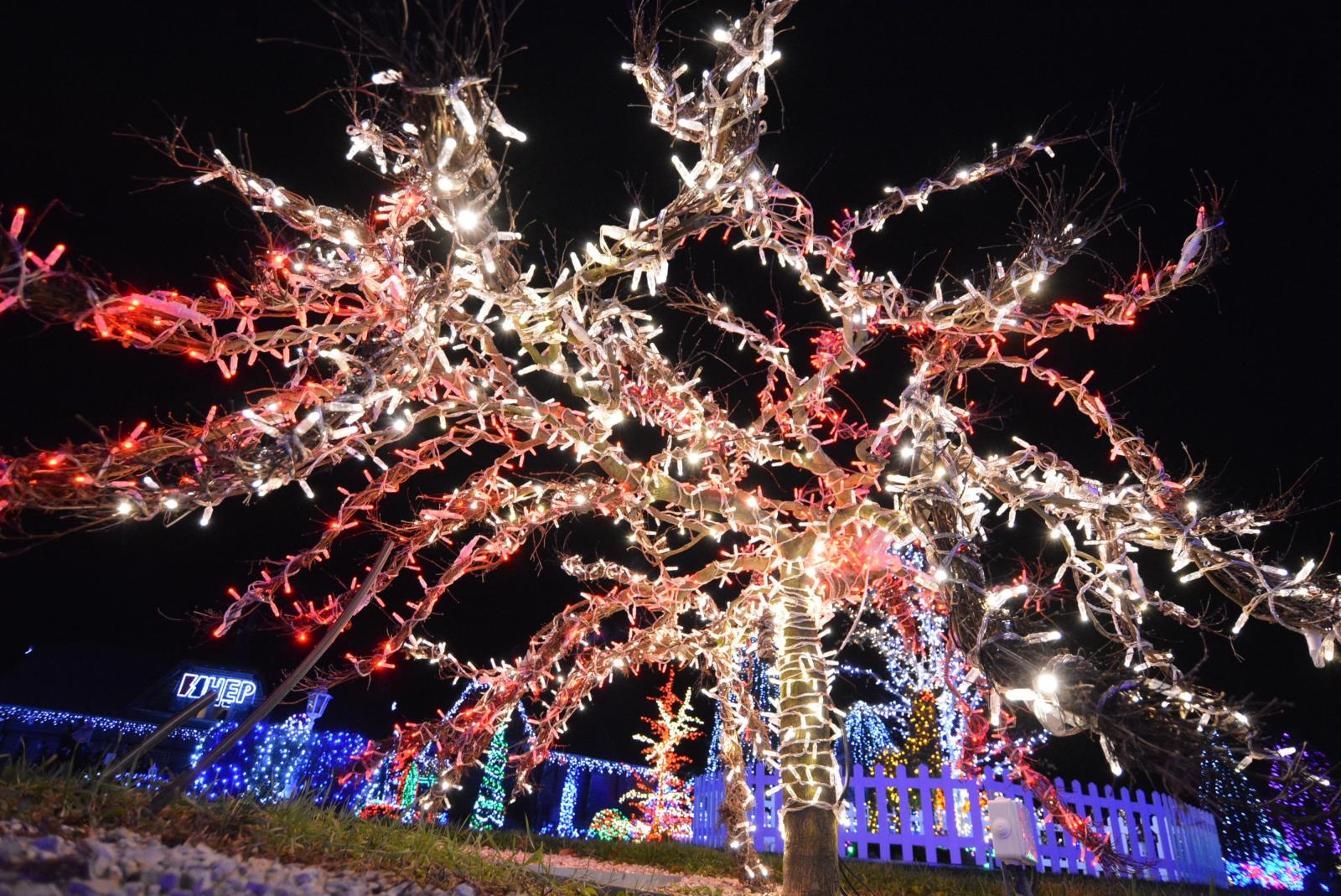 Uz 2,5 milijuna lampica zasjala ovogodišnja božićna bajka u Salajlandu Uz 2,5 milijuna lampica zasjala ovogodišnja božićna bajka u Salajlandu