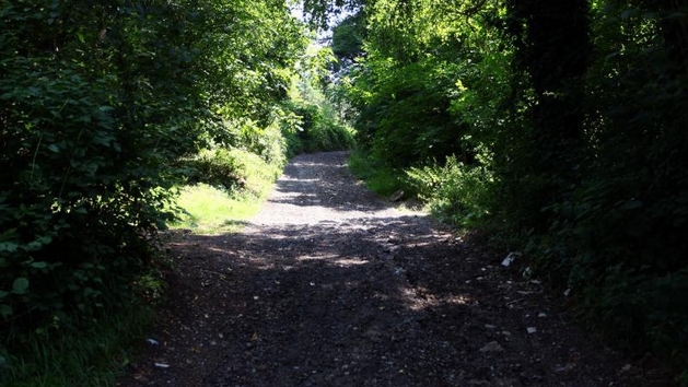 PXL gračani ubojstvo, šuma