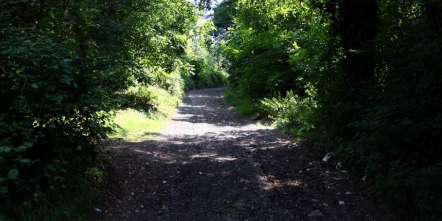 PXL gračani ubojstvo, šuma PXL gračani ubojstvo, šuma