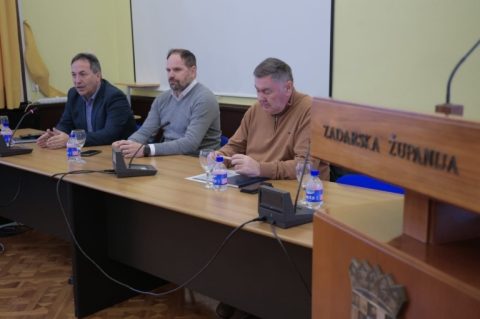 divlje svinje