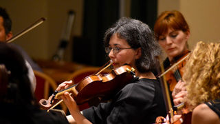 Pavle Dešpalj i Zadarski komorni orkestar
