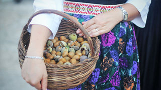 52. Saljske užance, 7. kolovoza 2011.(foto:Saša Čuka)