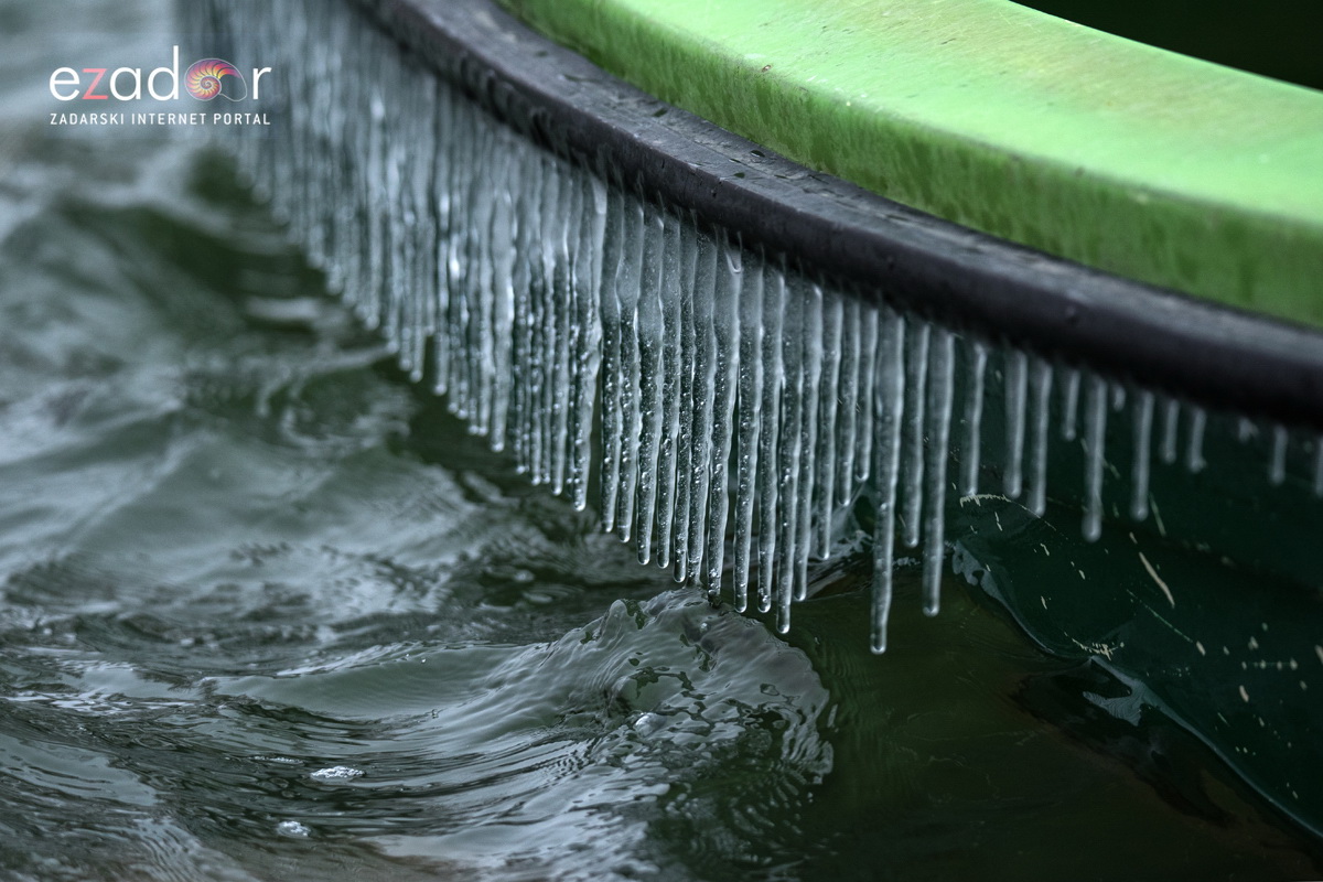 Zimska idila u Parku prirode Vransko jezero Zimska idila u Parku prirode Vransko jezero