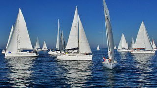 “Zadarska koka”: Regata za sve generacije snimljena iz “koke” “Zadarska koka”: Regata za sve generacije snimljena iz “koke”