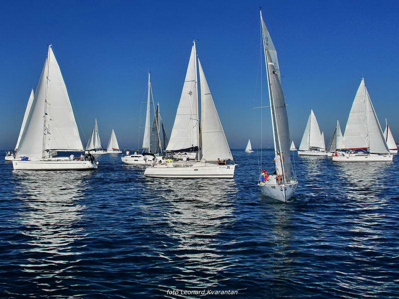 “Zadarska koka”: Regata za sve generacije snimljena iz “koke” “Zadarska koka”: Regata za sve generacije snimljena iz “koke”