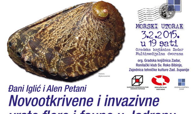 Morski utorak: Novootkrivene vrste flore i faune u Jadranu