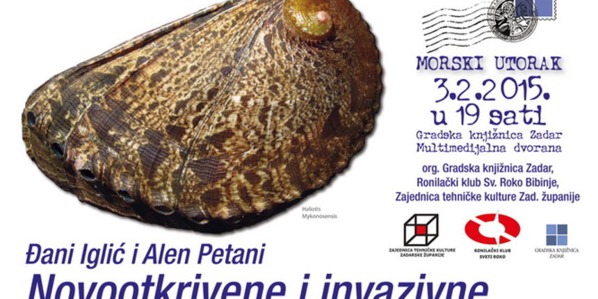 Morski utorak: Novootkrivene vrste flore i faune u Jadranu Morski utorak: Novootkrivene vrste flore i faune u Jadranu