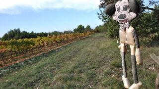 Zadar, 021111
Uz cestu koja vodi od Zadra prema Razancu moze se vidjeti jedan od sigurno najneobicnijih vinograda na svijetu. Umjesto uobicajenih strasila, vinograd cuvaju ogromni plisani medvjedi , lutke, barbike i raznorazne druge igracke i predmeti.
Fo Zadar, 021111
Uz cestu koja vodi od Zadra prema Razancu moze se vidjeti jedan od sigurno najneobicnijih vinograda na svijetu. Umjesto uobicajenih strasila, vinograd cuvaju ogromni plisani medvjedi , lutke, barbike i raznorazne druge igracke i predmeti.
Fo