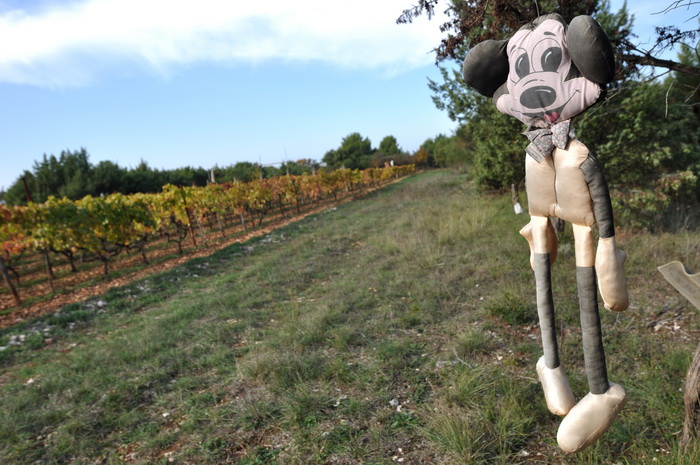 Zadar, 021111
Uz cestu koja vodi od Zadra prema Razancu moze se vidjeti jedan od sigurno najneobicnijih vinograda na svijetu. Umjesto uobicajenih strasila, vinograd cuvaju ogromni plisani medvjedi , lutke, barbike i raznorazne druge igracke i predmeti.
Fo Zadar, 021111
Uz cestu koja vodi od Zadra prema Razancu moze se vidjeti jedan od sigurno najneobicnijih vinograda na svijetu. Umjesto uobicajenih strasila, vinograd cuvaju ogromni plisani medvjedi , lutke, barbike i raznorazne druge igracke i predmeti.
Fo