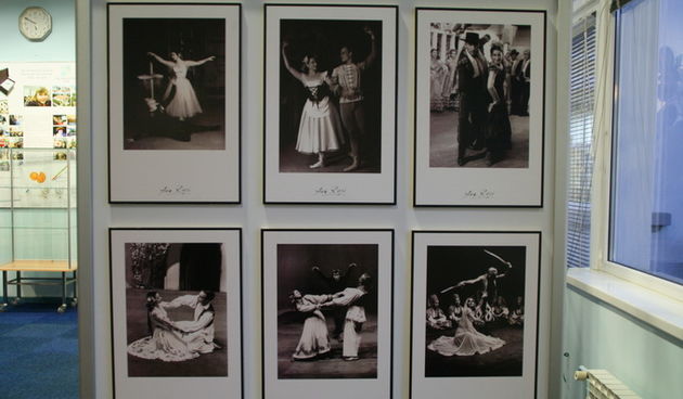 Otvorenje izložbe o Ani Roje