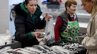 Zadarska tržnica i ribarnica na Veliki petak