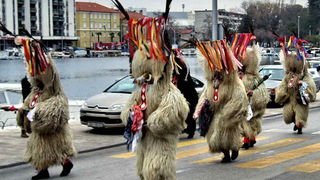 Karnevalska povorka 2012, Foto: Leonard Kvarantan Karnevalska povorka 2012, Foto: Leonard Kvarantan