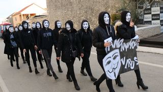 2. Međunarodna karnevalska povorka Virskih maškara