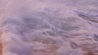 Image 1194643 (auto)