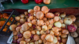 Đir po pijaci, 30. siječnja 2012. (foto:Saša Čuka)