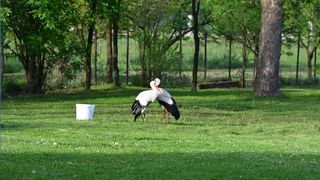 Klepetan se ipak vratio Malenoj Klepetan se ipak vratio Malenoj