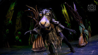 Knjiga o džungli, foto: Iva Perinčić Knjiga o džungli, foto: Iva Perinčić