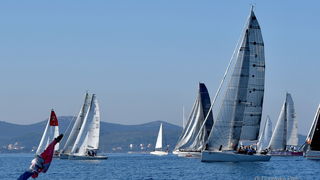 Sva lica “Zadarske koke” Sva lica “Zadarske koke”