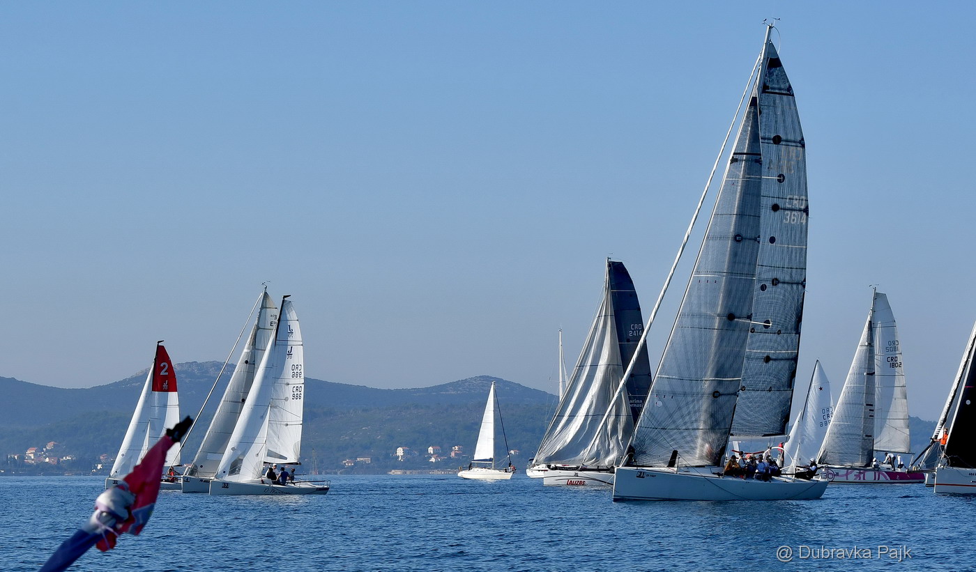 Sva lica “Zadarske koke” Sva lica “Zadarske koke”