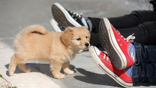 Zadar, 130313.
Zadrani su nakon gotovo tjedan dana kise i ruznog vremena docekali prekrasan suncani dan. Temperatura zraka u 11h iznosila je 13 stupnjeva celzijusa.
Foto: Luka Gerlanc / CROPIX Zadar, 130313.
Zadrani su nakon gotovo tjedan dana kise i ruznog vremena docekali prekrasan suncani dan. Temperatura zraka u 11h iznosila je 13 stupnjeva celzijusa.
Foto: Luka Gerlanc / CROPIX