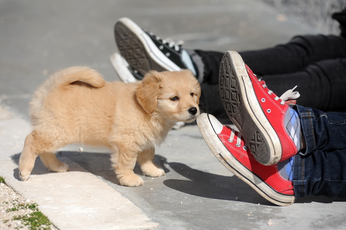 Zadar, 130313.
Zadrani su nakon gotovo tjedan dana kise i ruznog vremena docekali prekrasan suncani dan. Temperatura zraka u 11h iznosila je 13 stupnjeva celzijusa.
Foto: Luka Gerlanc / CROPIX Zadar, 130313.
Zadrani su nakon gotovo tjedan dana kise i ruznog vremena docekali prekrasan suncani dan. Temperatura zraka u 11h iznosila je 13 stupnjeva celzijusa.
Foto: Luka Gerlanc / CROPIX