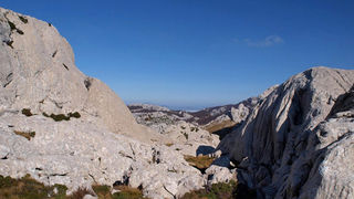 OLYMPUS DIGITAL CAMERA OLYMPUS DIGITAL CAMERA