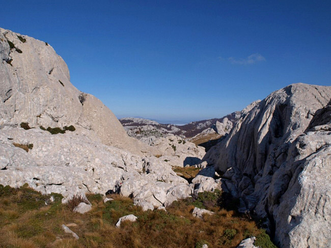 OLYMPUS DIGITAL CAMERA OLYMPUS DIGITAL CAMERA