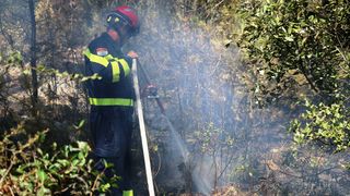 Vir: Požar u Lozicama u potpunosti ugašen Vir: Požar u Lozicama u potpunosti ugašen