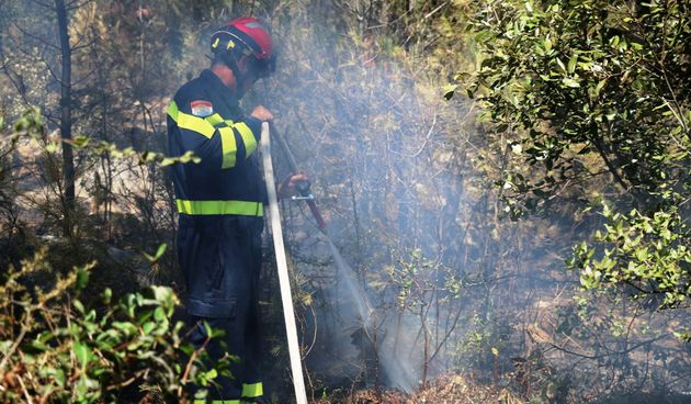 Vir: Požar u Lozicama u potpunosti ugašen