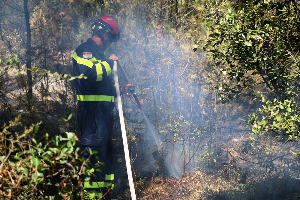 Vir: Požar u Lozicama u potpunosti ugašen Vir: Požar u Lozicama u potpunosti ugašen