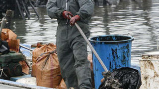 Image 1196807 (auto) Image 1196807 (auto)