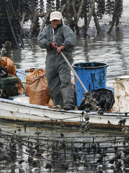 Image 1196807 (auto) Image 1196807 (auto)