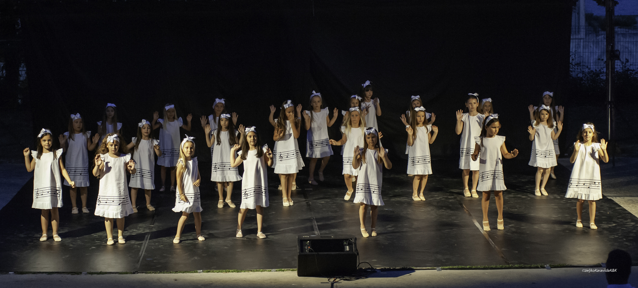 Gesta obilježila dvadeset godina djelovanja Gesta obilježila dvadeset godina djelovanja