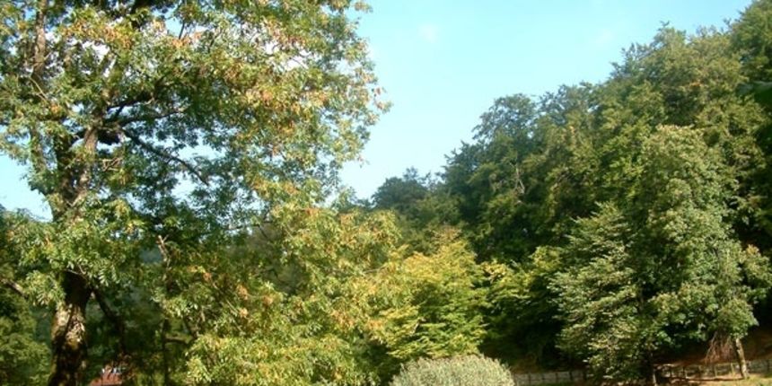 Park prirode Papuk Park prirode Papuk