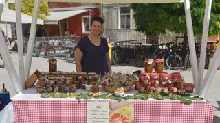 U sklopu 9. Festivala smokve na Trgu pet bunara održava se sajam smokava na kojem proizvođači i prerađivači izlažu i prodaju svoje artikle. Photo: Dino Stanin/PIXSELL U sklopu 9. Festivala smokve na Trgu pet bunara održava se sajam smokava na kojem proizvođači i prerađivači izlažu i prodaju svoje artikle. Photo: Dino Stanin/PIXSELL