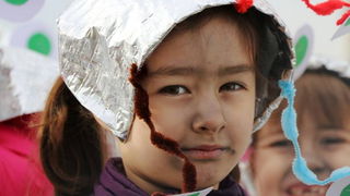 Virski karnevalić 2016. Virski karnevalić 2016.