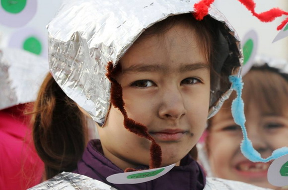 Virski karnevalić 2016. Virski karnevalić 2016.