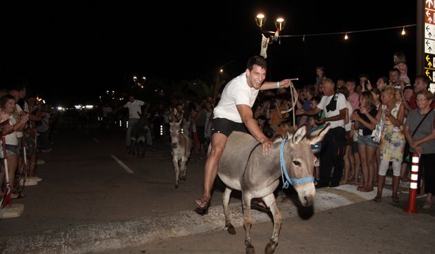 Peta “Utrka tovara” u Sv. Filipu i Jakovu