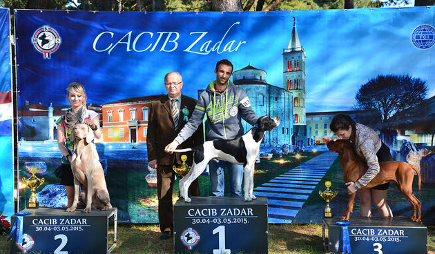 Započeo CACIB Zadar 2015. ; foto Kristina Kajić