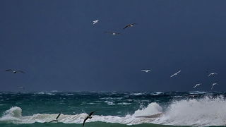 Olujno jugo u Zadru, nedjelja 6. prosinca 2020. godine