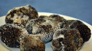 Predstavljanje tartufa s područja Zadarske županije, foto: eZadar