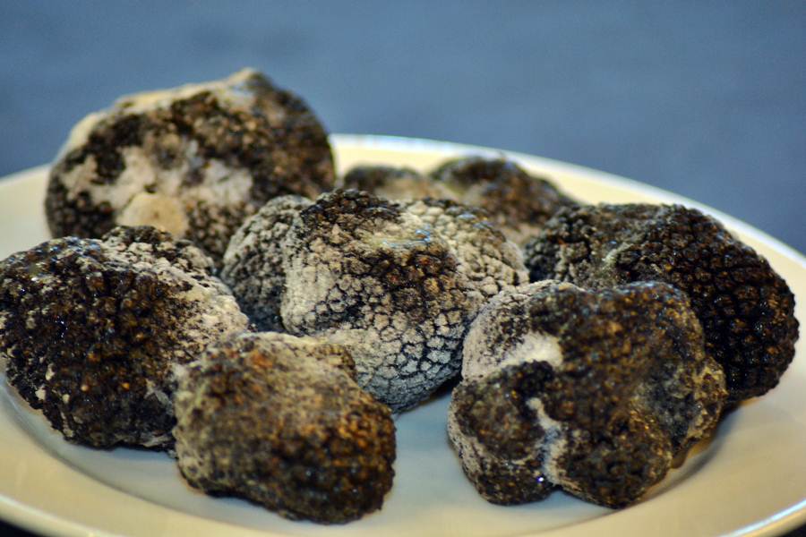 Predstavljanje tartufa s područja Zadarske županije, foto: eZadar