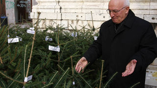 nadbiskup ivan prendja, narodni trg