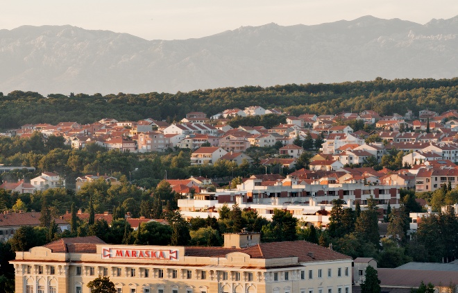 Image 1173751 (auto)