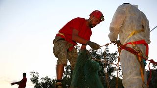 HGSS-ova akcija spašavanja pasa iz Živkine jame (foto: Zoran Erceg)